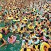 азиатская водохранка азиатская водохранка
