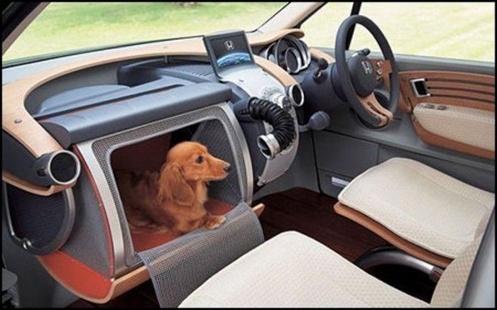 собак в авто