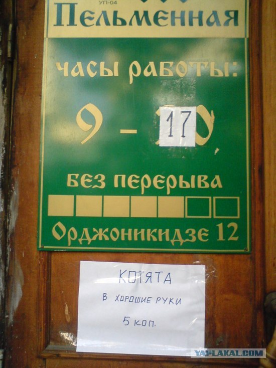 Капец котятам))))