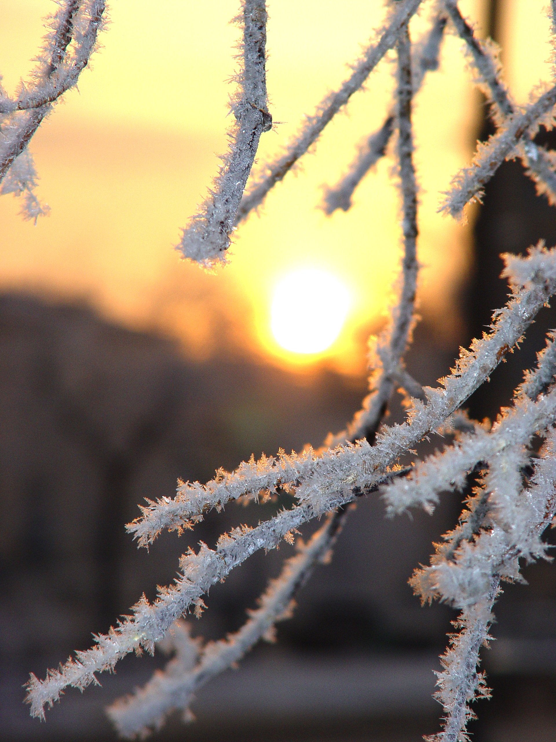 любимый город
