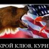 закрой  клюв,курица