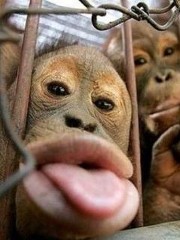 Родственники