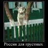 Депрессия Депрессия
