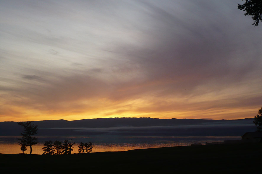 Роза ветров