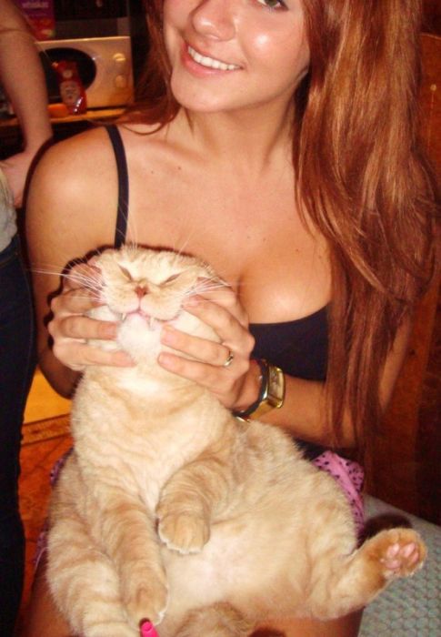 котяка-улыбака