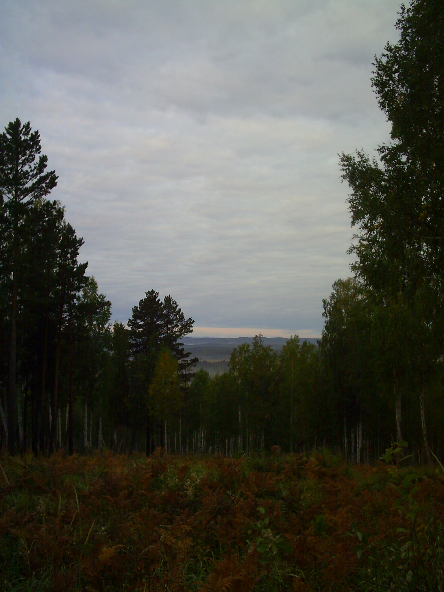 Таёжные дали