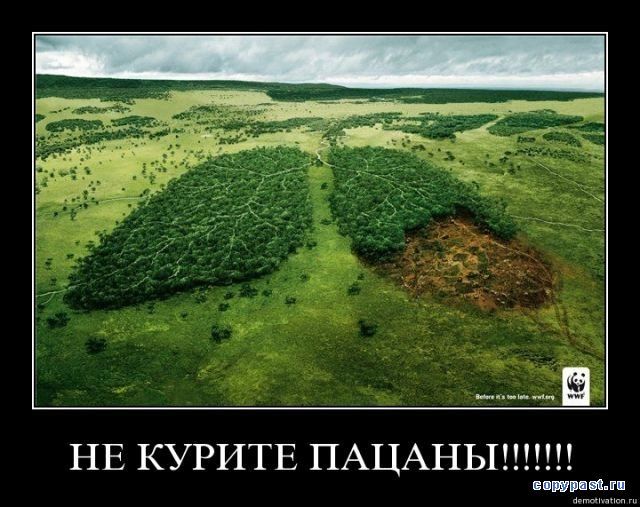 не курите