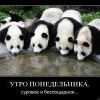 утро понедельника утро понедельника