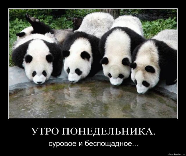 утро понедельника