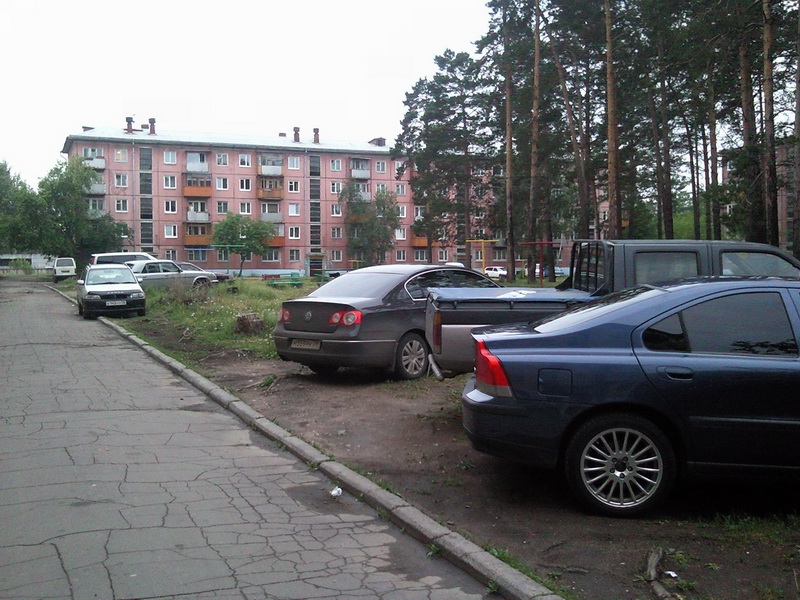 Они на газонах!