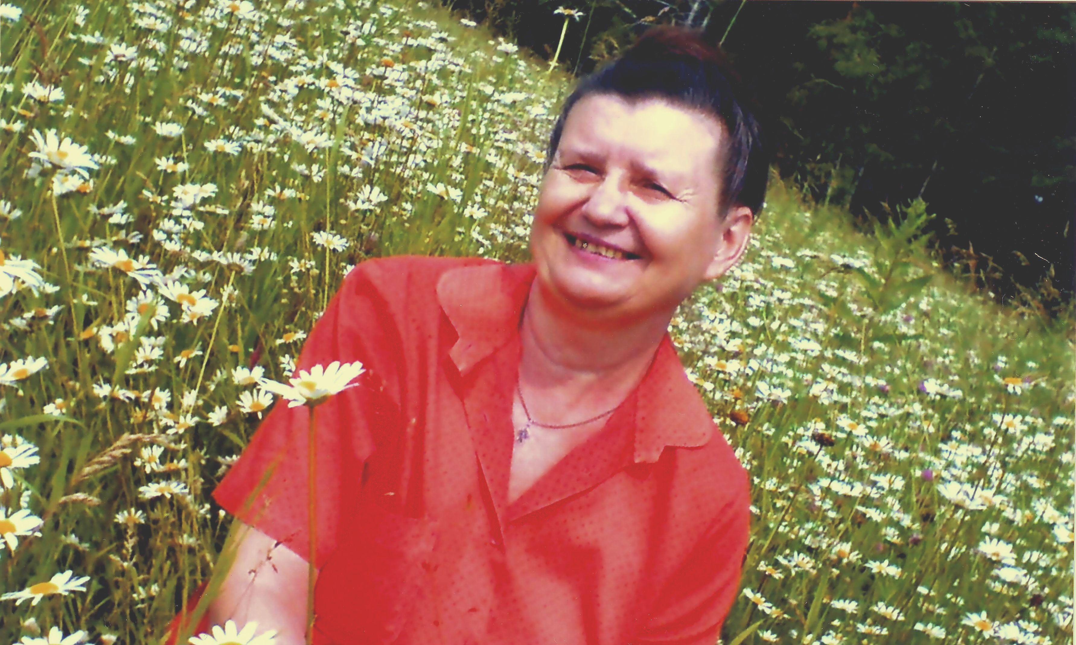 ромашки спрятали---