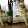 За экономию надо платить!