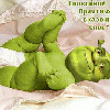 Shrek Shrek