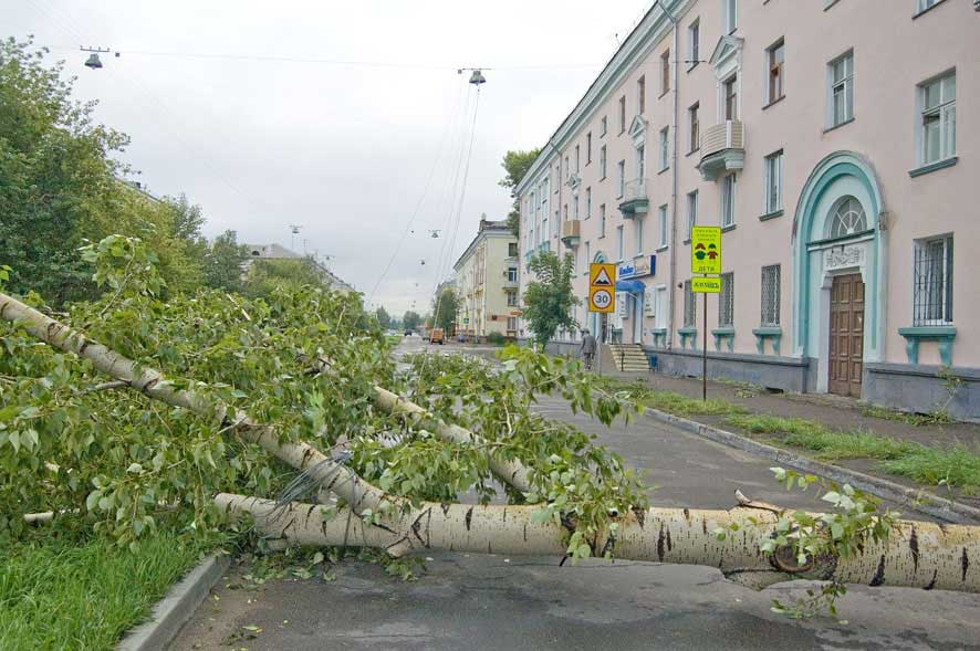 Напротив городского суда на ул.Горького тополь порвал сети освещения