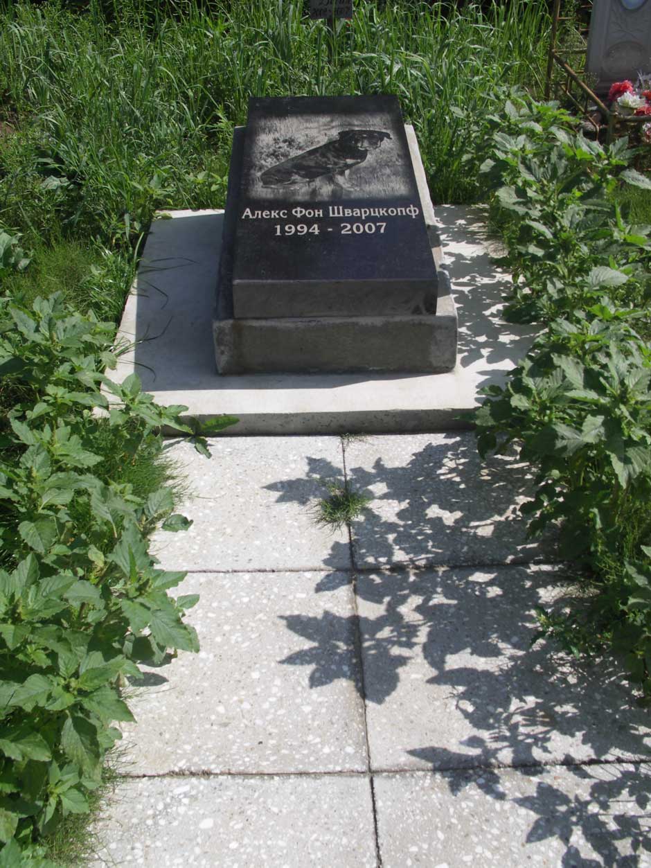 Такой могиле и человек позавидует