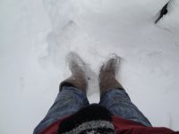 Сирегины ноги: Сирёгины ноги коие обуты в валенки по причине страшенного мароза))))
