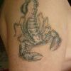 Skorpion zazhivshiy 2