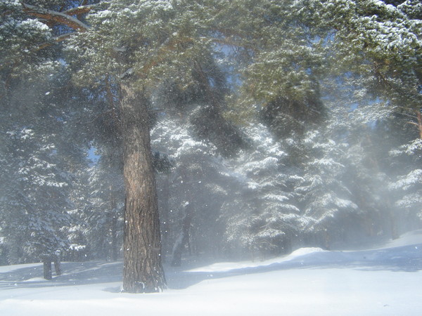 Снежная зима.