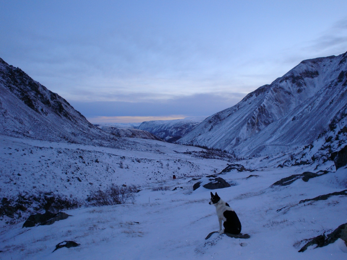 Глория в ожидании 
