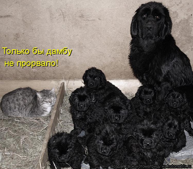 Вот такие МЫ !!!