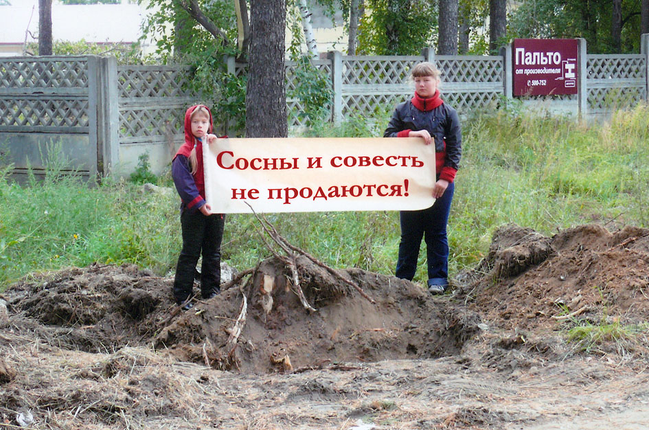 Сосны и совесть не продаются