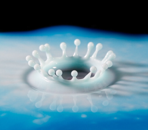 скоростные фото