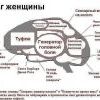 Ох уж эта статистика!