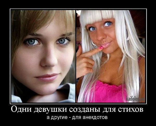 Стихи и анекдоты