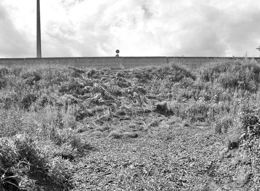 На этом месте даже трава не растет...