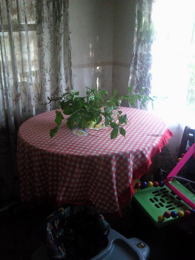 Дачный стол