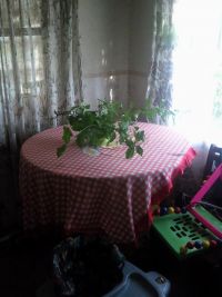 Дачный стол Дачный стол