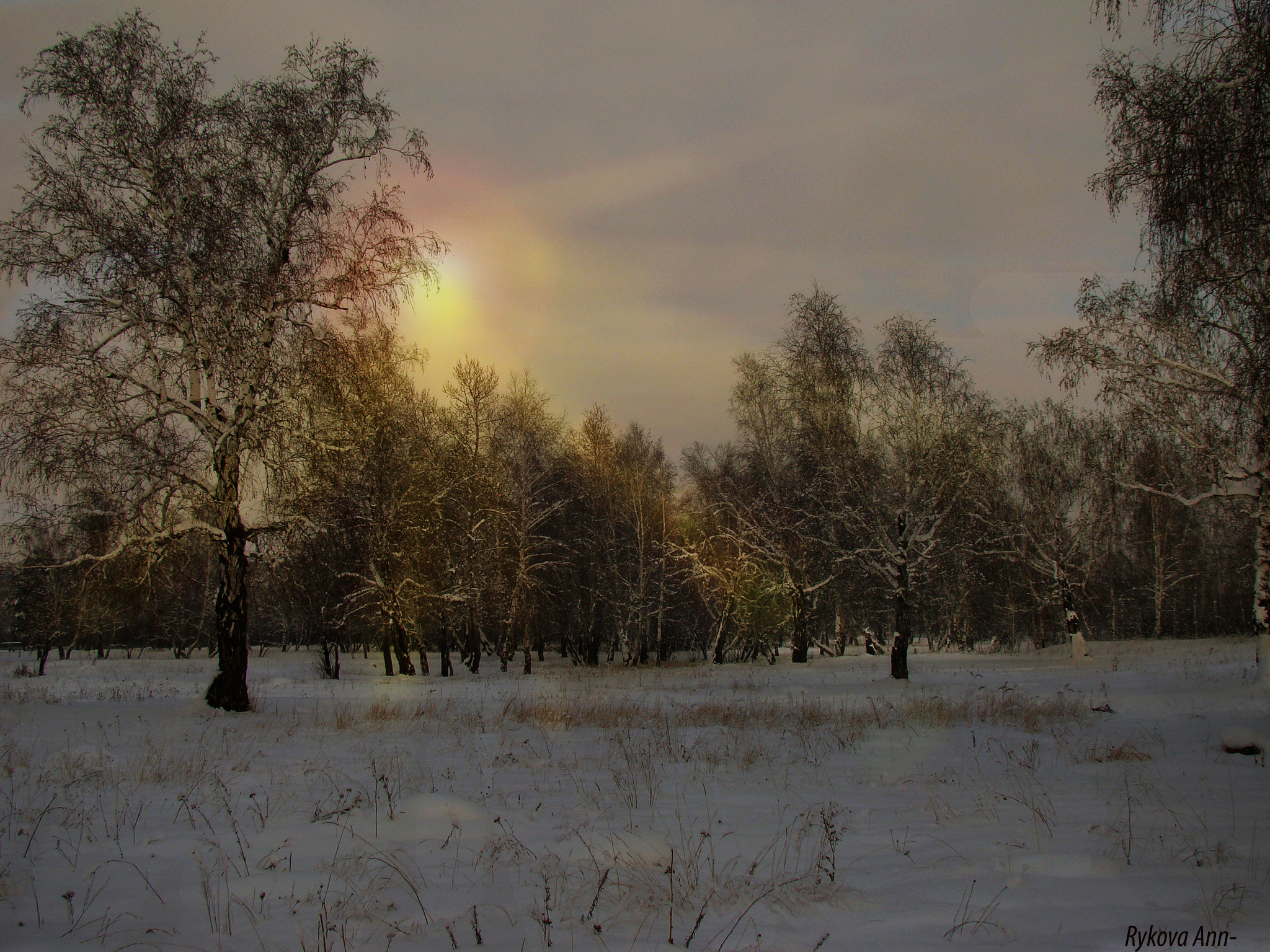 Сумерки в пойме Китоя