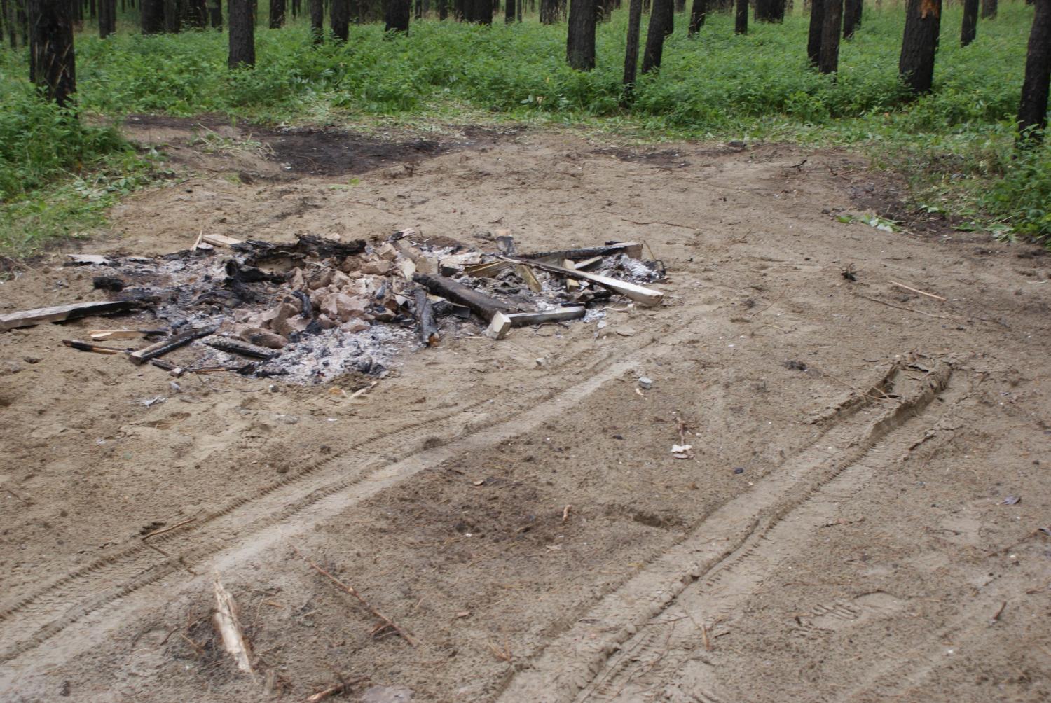 Лесная свалка