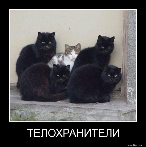 телохранители