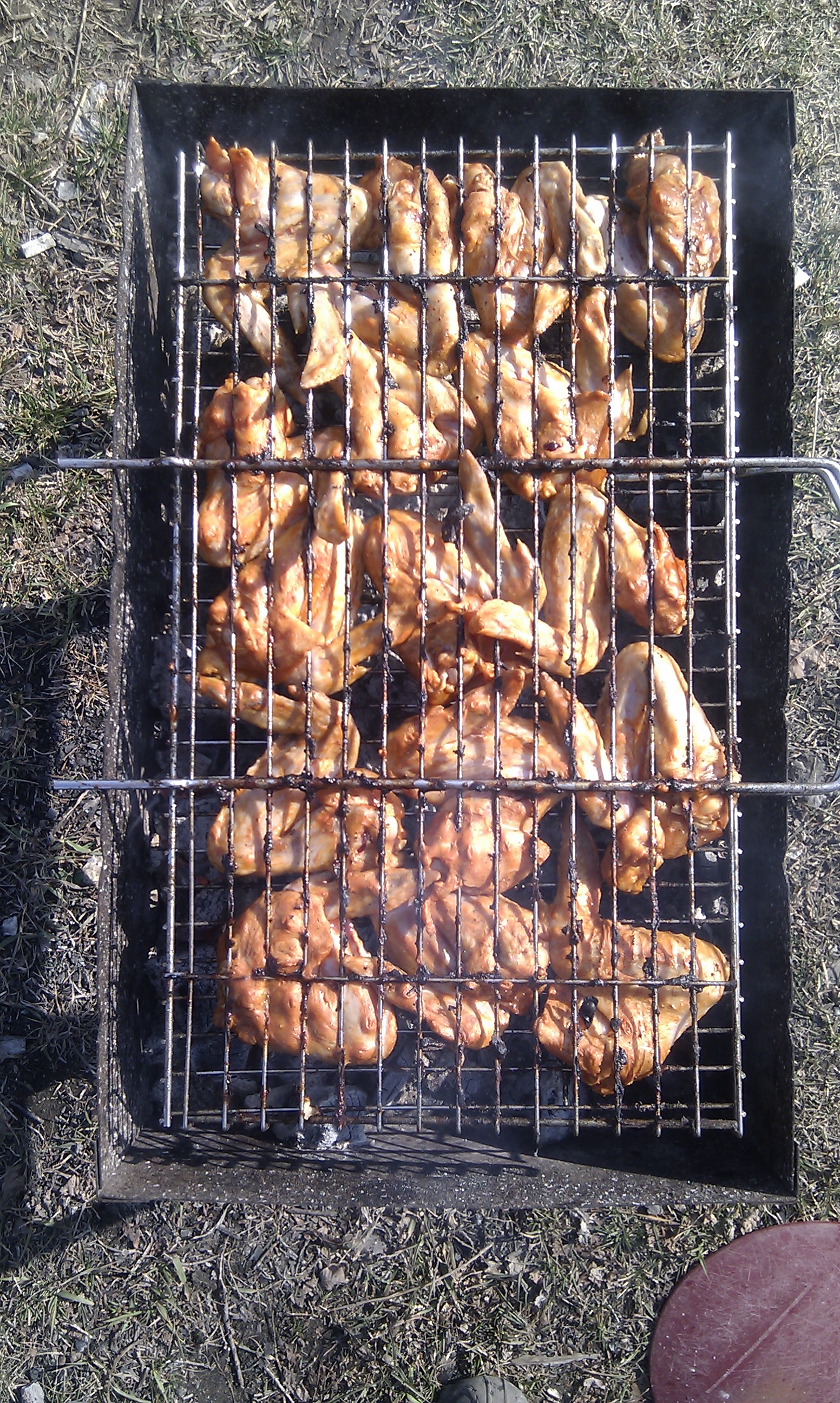 куриц крылышки