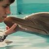 История дельфина в 3D