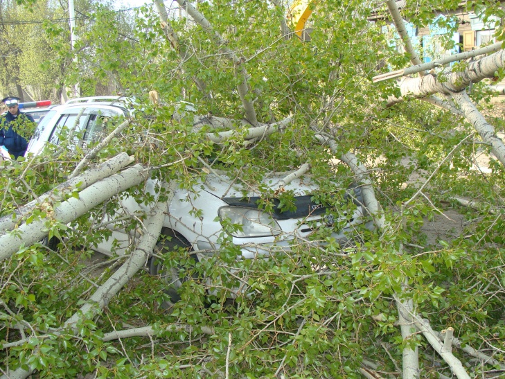 Экскаватор атаковал японца