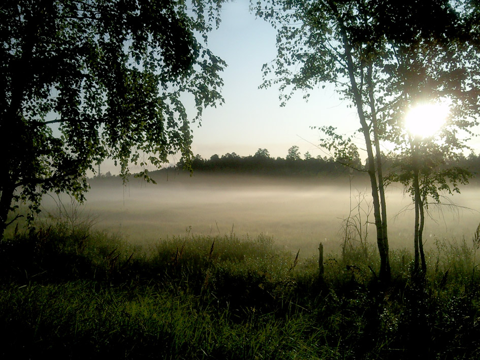 Скоро осень?