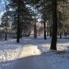 210 квартал - дорожка