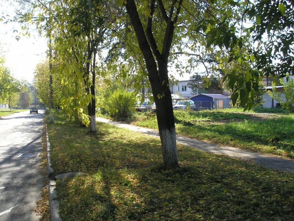 Коттеджи по ул. Новокшенова