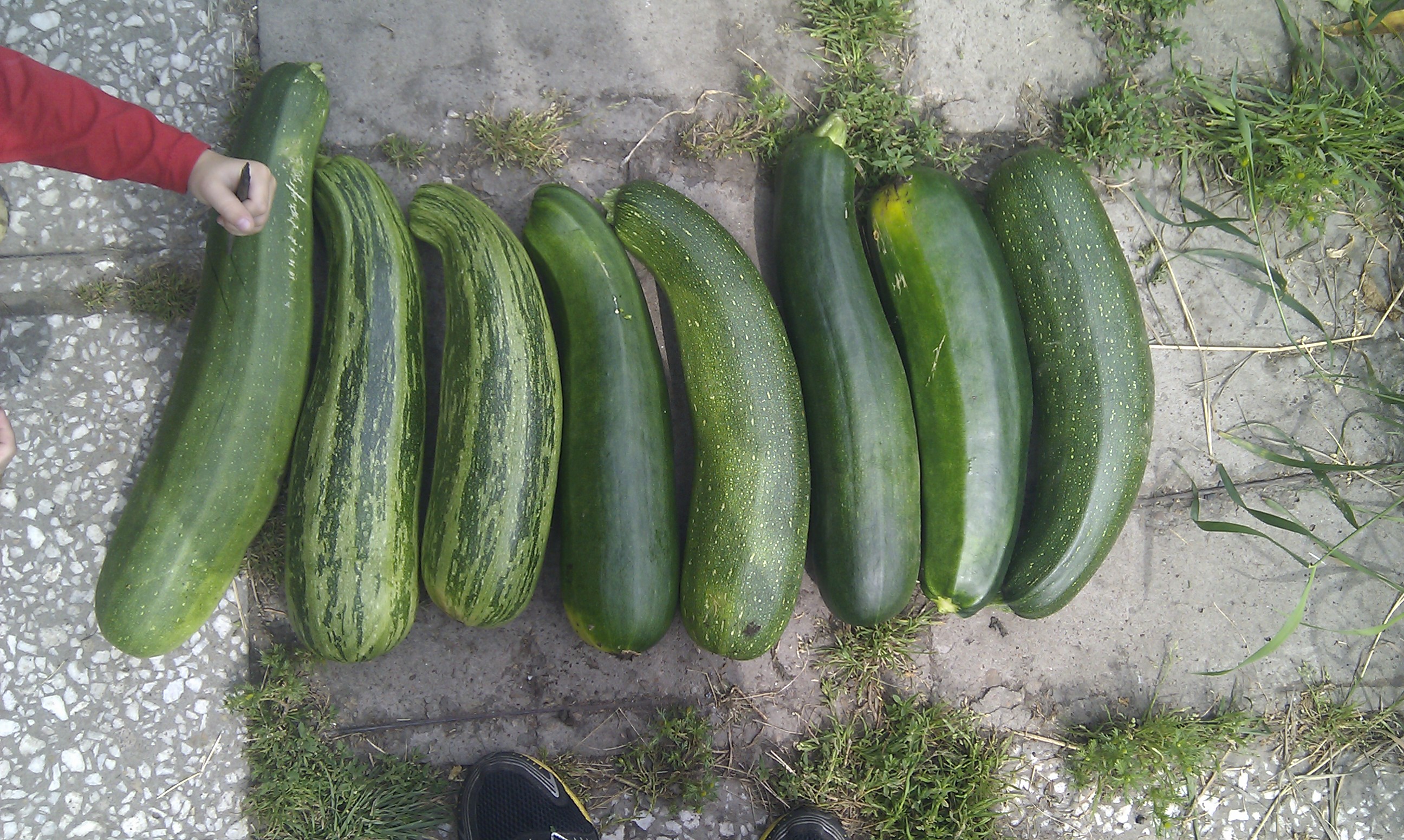 Охота удалась)))))