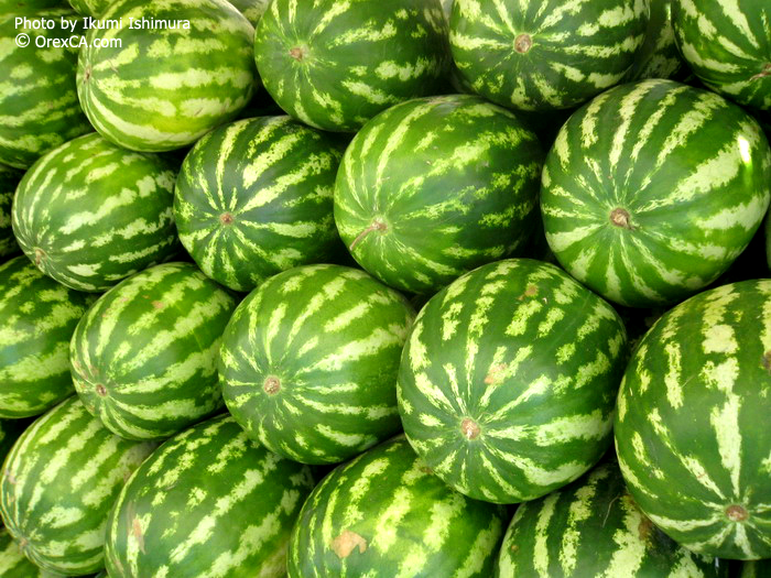 на шанхайке