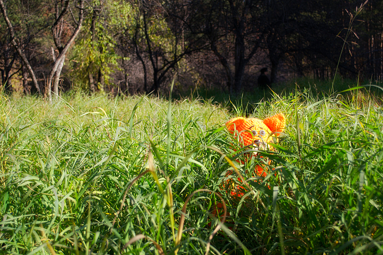 Другая жизнь