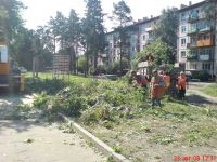Вандалы