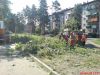 Вандалы