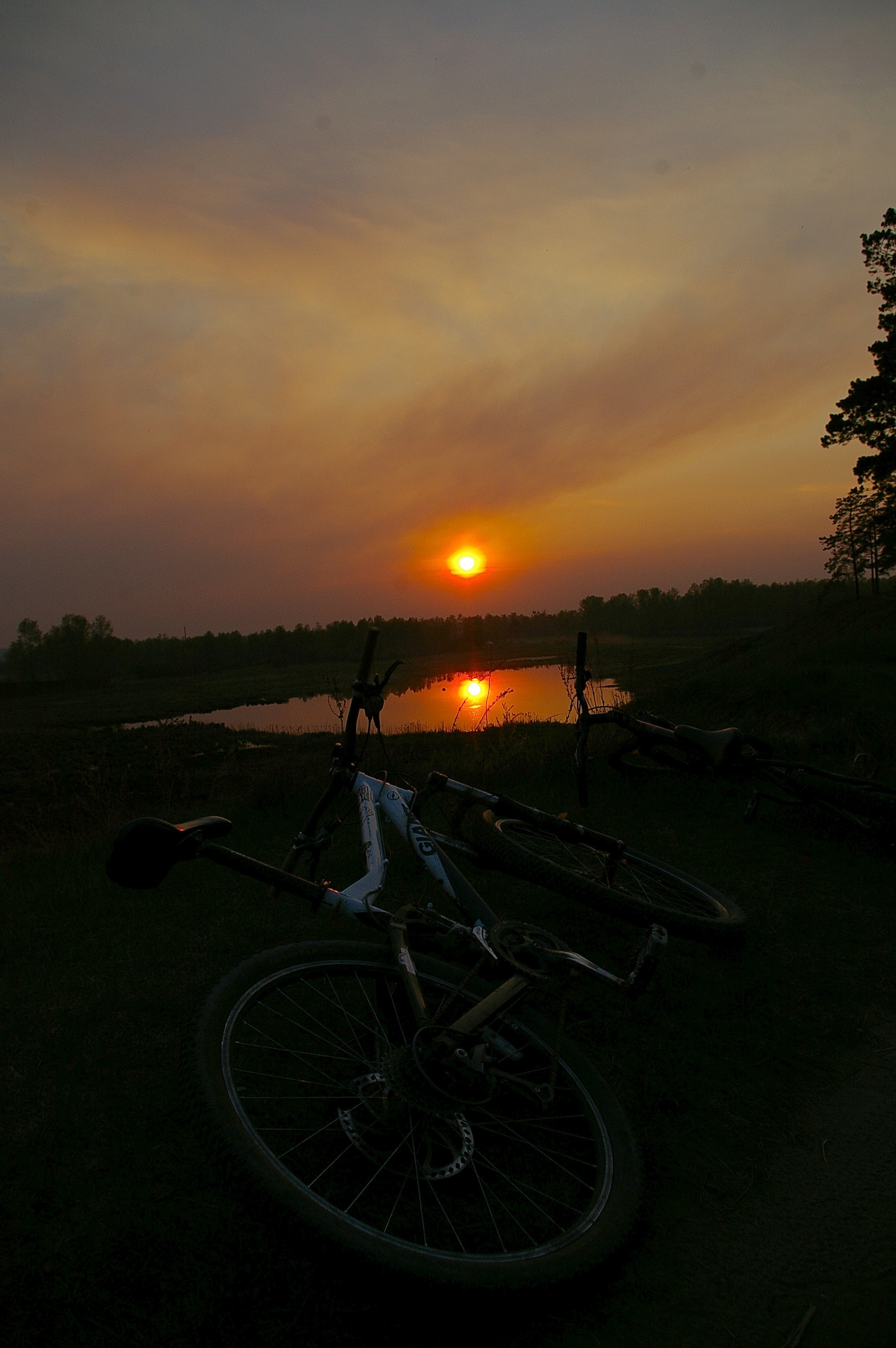 умиротворяющее