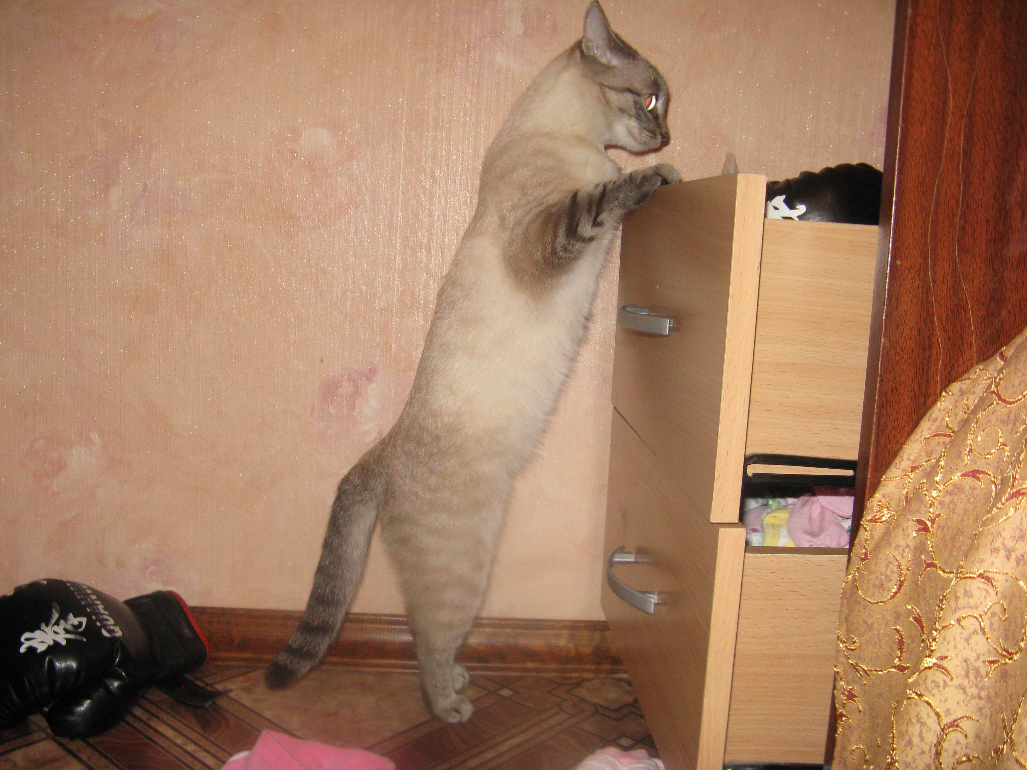 Сегодня снова бой!