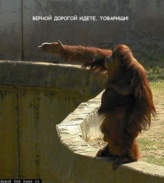 верной дорогой