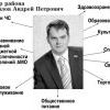 Полномочия главы района