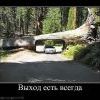 Выход есть всегда